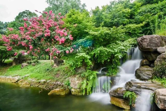 林湖岛间露营烧烤野趣又好玩！开元棋牌成都出发最快05h山(图9)