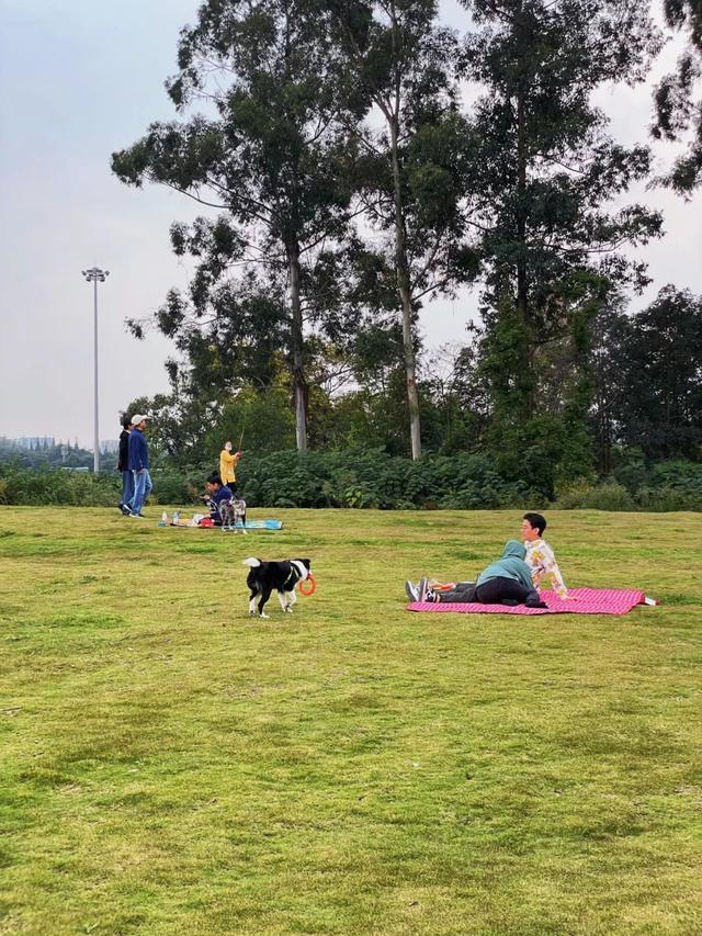 林湖岛间露营烧烤野趣又好玩！开元棋牌成都出发最快05h山(图7)