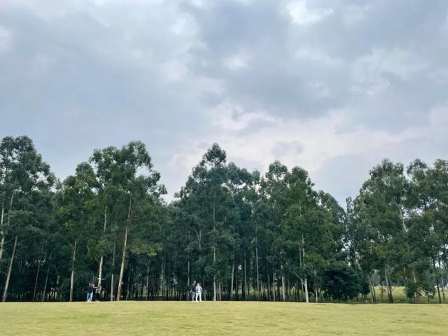 林湖岛间露营烧烤野趣又好玩！开元棋牌成都出发最快05h山(图4)