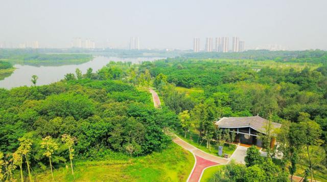 林湖岛间露营烧烤野趣又好玩！开元棋牌成都出发最快05h山(图20)