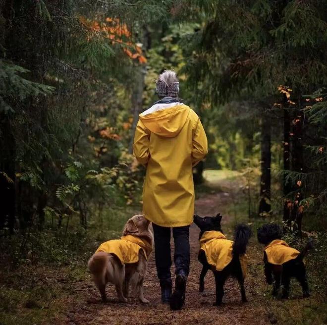 买出80亿装备新蓝海开元棋牌中国养宠人(图3)
