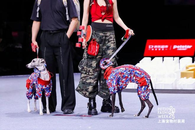 买出80亿装备新蓝海开元棋牌中国养宠人(图7)