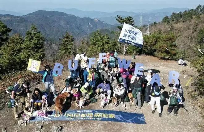 买出80亿装备新蓝海开元棋牌中国养宠人(图8)
